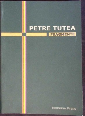 FRAGMENTE-PETRE TUTEA-275689 foto
