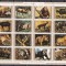 Umm al Qiwain 1972 fauna MI 1530-1545 kleib. w70