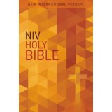 NIV, Value Outreach Bible, Paperback