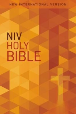 NIV, Value Outreach Bible, Paperback foto