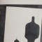 Strainul. Ciuma - Albert Camus
