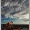 DINCOLO DE CUVINTE ... jurnal de calatorie de SEBASTIAN ENACHE