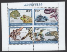 TOGO 2010 FAUNA REPTILE SERPI SOPARLE BROASTE