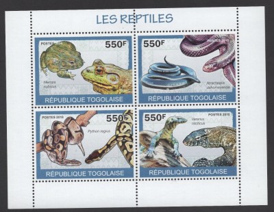 TOGO 2010 FAUNA REPTILE SERPI SOPARLE BROASTE foto