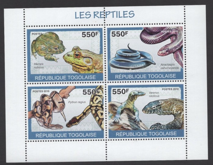 TOGO 2010 FAUNA REPTILE SERPI SOPARLE BROASTE