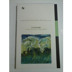 TSUNAMI - JEAN-PIERRE DUPUY
