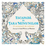 Escapadă &icirc;n Țara Minunilor - Paperback brosat - Florin Bican - Arthur