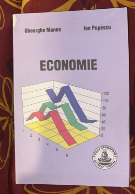 Manea/ Popescu Economie 2005 foto