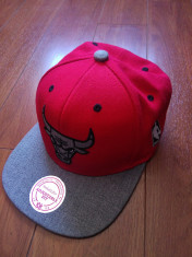 ?apca Chicago Bulls NBA Mitchell &amp;amp; Ness marime universala foto