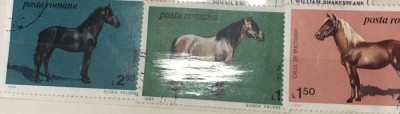 (F) Timbre Serii Romania Cai foto