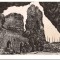 CPIB 16472 CARTE POSTALA - TARGU NEAMT. RUINELE CETATII, RPR