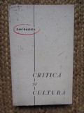 DAN HAULICA - CRITICA SI CULTURA