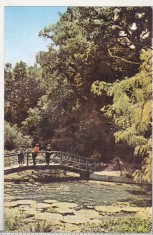 bnk cp Oradea - Baile Victoria - Lacul cu nuferi - uzata