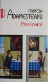 Provizorat - Gabriela Adamesteanu - Roman Beletristica