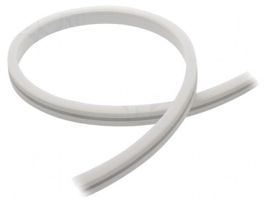 Bandă LED Neon Alb Rece 24V IP65 9,6W/m foto