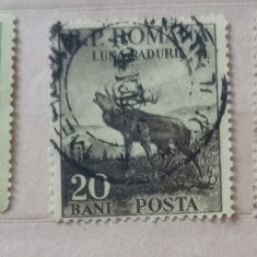 Romania 1954 LP 360, Luna padurii serie 3v. stampilata