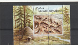 Fauna,furnici,furnicar,Belarus., Nestampilat