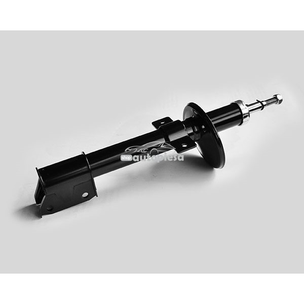 Amortizor DACIA DUSTER (2010 - 2016) NGH AUTOTECHNIK NGH 02.01.150 Amortizor DACIA DUSTER (2010 - 2016) NGH AUTOTECHNIK NGH 02.01.150
