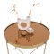 icon 4