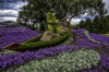 Fototapet Parc cu viorele, 200 x 150 cm