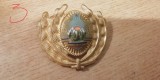 QW14 - Emblema militara / cuc - uscat - comunism - piesa de colectie