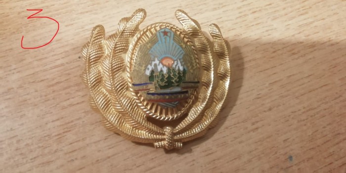 QW14 - Emblema militara / cuc - uscat - comunism - piesa de colectie