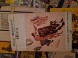 Fiesta vintage