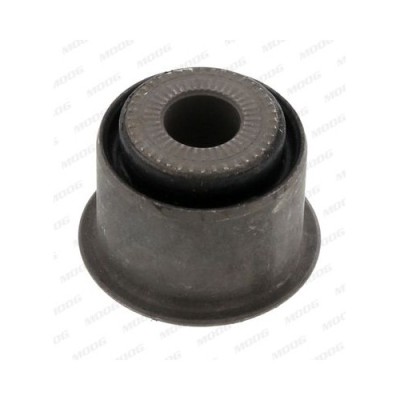 Moog suport, ax foto