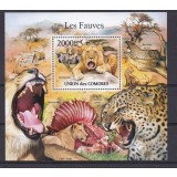 COMORES 2011 FAUNA ANIMALE SALBATICE LEI SI PANTERE