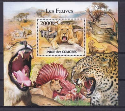 COMORES 2011 FAUNA ANIMALE SALBATICE LEI SI PANTERE foto