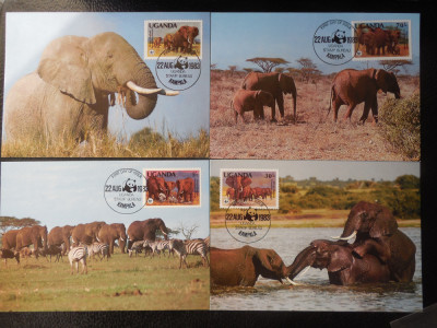 Uganda-Fauna ,elefanti -set complet ilustrate maxime foto