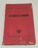 Carte veche numerotata anul 1940 CE-A VAZUT ILIE PANISOARA - IONEL TEODOREANU