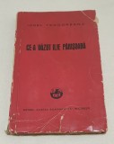 Carte veche numerotata anul 1940 CE-A VAZUT ILIE PANISOARA - IONEL TEODOREANU