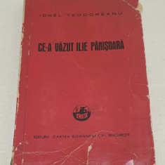 Carte veche numerotata anul 1940 CE-A VAZUT ILIE PANISOARA - IONEL TEODOREANU