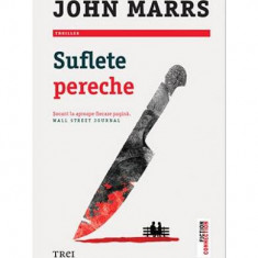 Suflete pereche - Paperback brosat - John Marrs - Trei