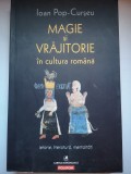 Magie si vrajitorie in cultura romana: Istorie, literatura, mentalitati - Ioan Pop-Curseu