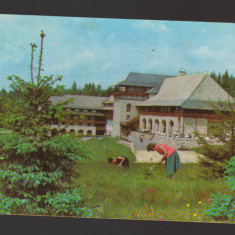 CPIB 19544 CARTE POSTALA - POIANA BRASOV. HOTEL TURISTIC, RPR
