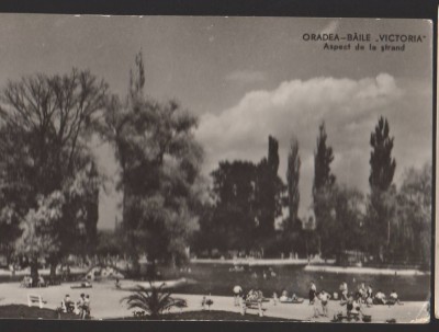 CPIB 22414 - CARTE POSTALA - ORADEA. BAILE VICTORIA. ASPECT DE LA STRAND, RPR foto