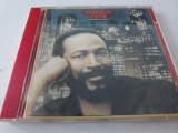 Midnight love - Marvin Gaye