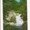 RC15 -Carte Postala- Covasna, Cascada din Valea Zanelor, circulata 1988