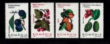 A11 TX1 1 - 2001 - Fructe de padure, Flora, Nestampilat