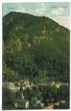 5481 - Baile HERCULANE, Caras-Severin, Romania - old postcard - unused, Necirculata, Printata