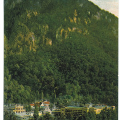 5481 - Baile HERCULANE, Caras-Severin, Romania - old postcard - unused