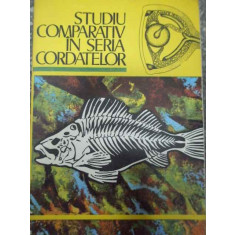 Studiu Comparativ In Seria Cordatelor - Colectiv ,290886