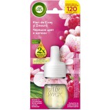 Rezervă odorizant electric Air Wick, Flori de cireș și zmeură, 19 ml