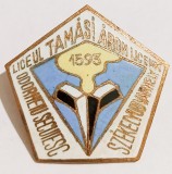 INSIGNA LICEUL TAMASI ARON LICEUM ODORHEIUL SECUIESC SEKELYUDVARHELY EMAIL CALD EDUCATIE INVATAMANT ( CITITI DESCRIEREA -ENUNTUL )