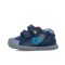 icon 5
