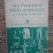 NEL PANTHEON DEGLI SCIENZIATI. Da Archimede ad Einstein - Ugo Maraldi