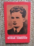 Tineretea revolutionara Nicolae Ceausescu - Olimpiu Matichescu, Scanteia Tineretului, 1981, carte epoca de aur