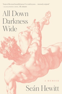 All Down Darkness Wide: A Memoir foto